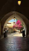 roni_ackerman Altpins Profile Picture