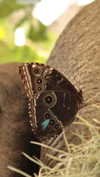 roni_ackerman Altpins Profile Picture