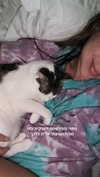 roni_ackerman Altpins Profile Picture