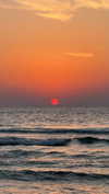 roni_ackerman Altpins Profile Picture