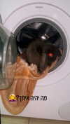 roniredner.nails Altpins Profile Picture