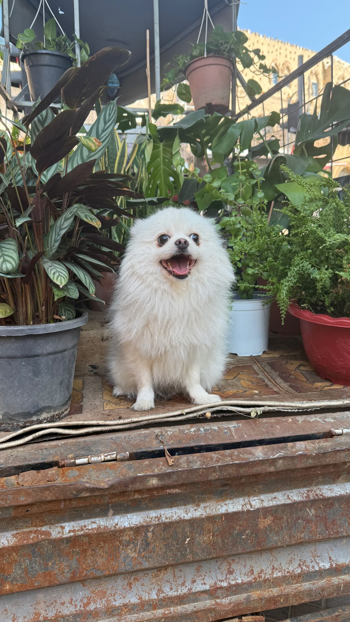 ronyida_ instagram image archive image