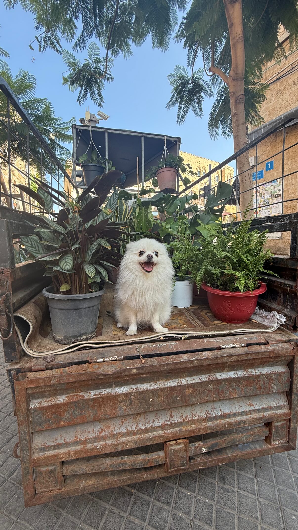 ronyida_ instagram image archive image