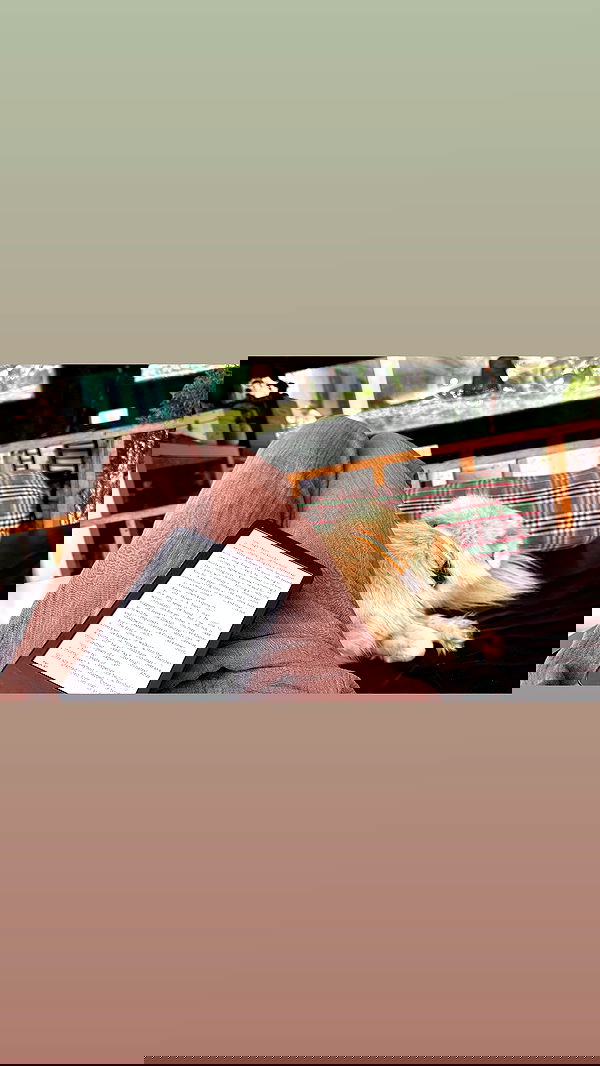 ronyida_ image ~ Altpins