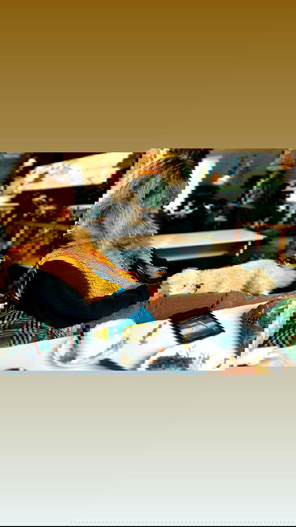 ronyida_ image ~ Altpins