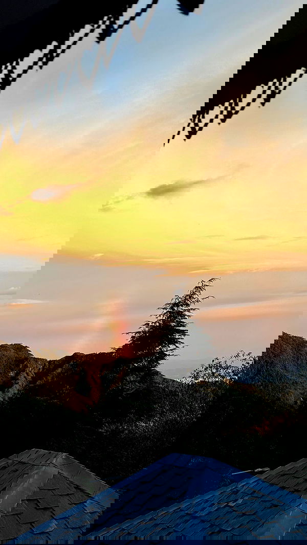 ronyida_ image ~ Altpins