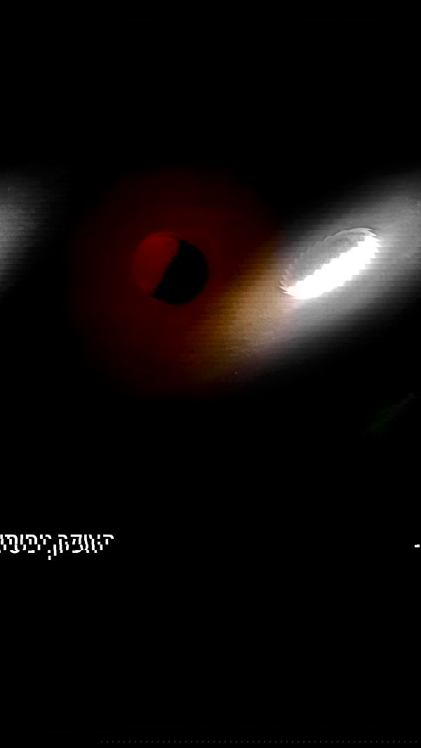 ronyida_ image ~ Altpins