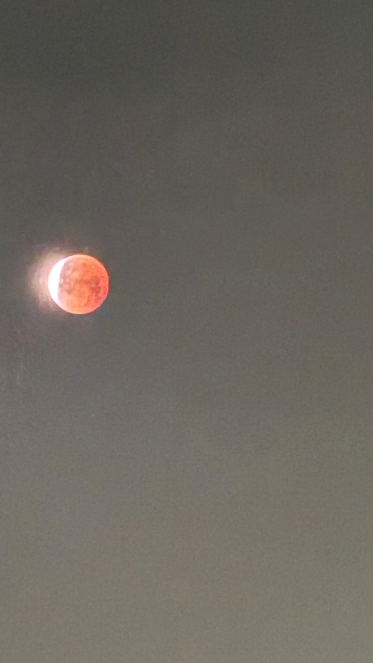 ronyida_ instagram image archive image