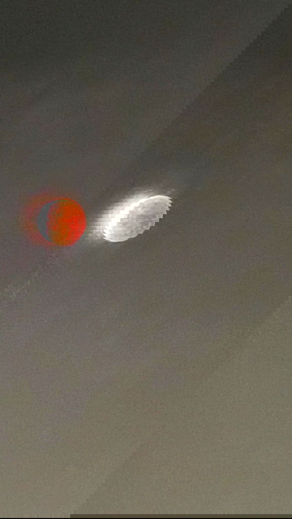 ronyida_ image ~ Altpins