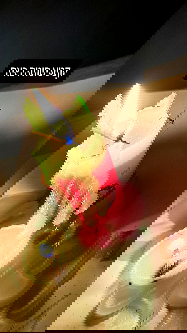 ronyida_ image ~ Altpins