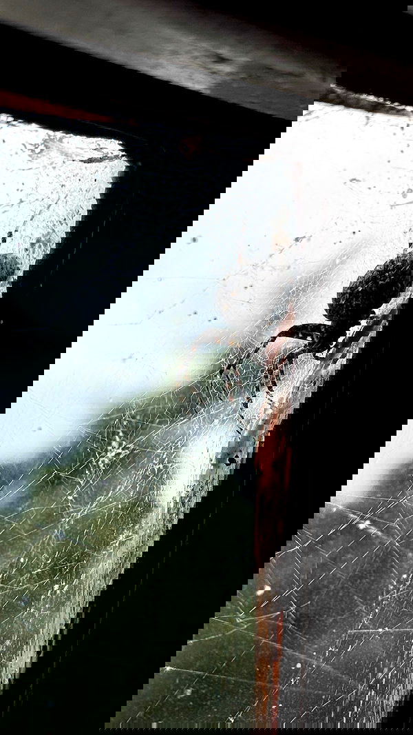 ronyida_ image ~ Altpins