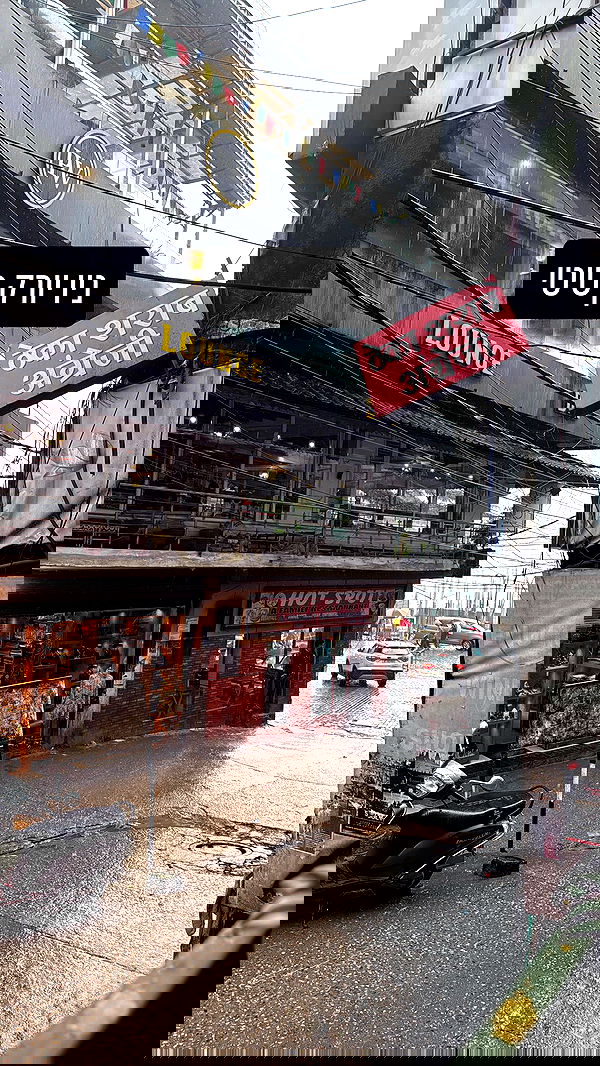 ronyida_ image ~ Altpins