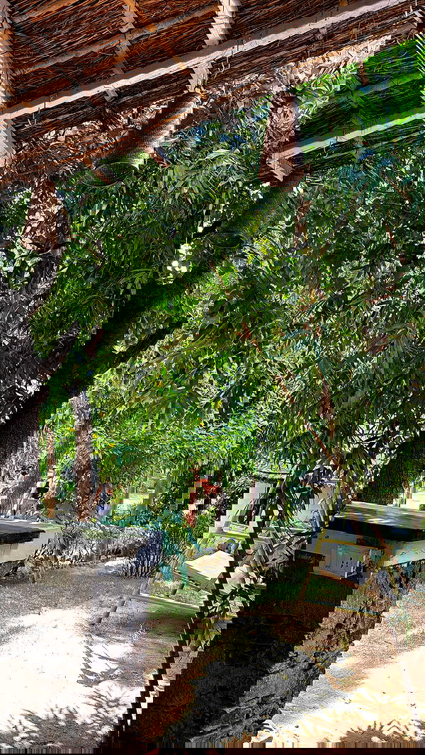 ronyida_ image ~ Altpins