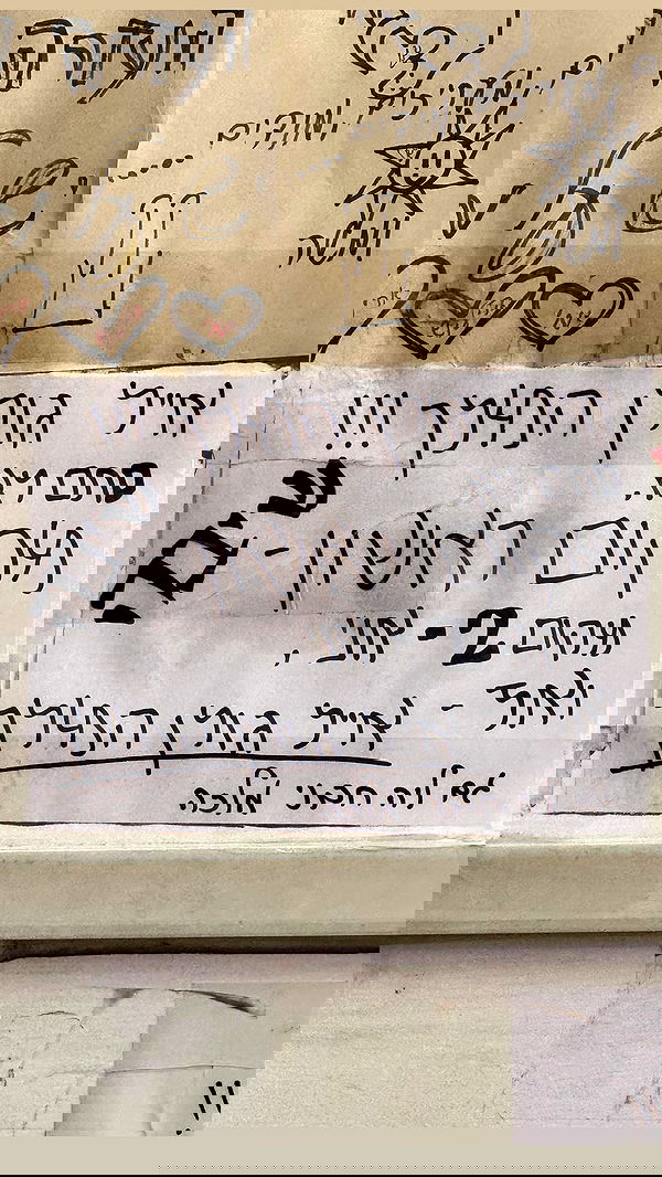 ronyida_ image ~ Altpins