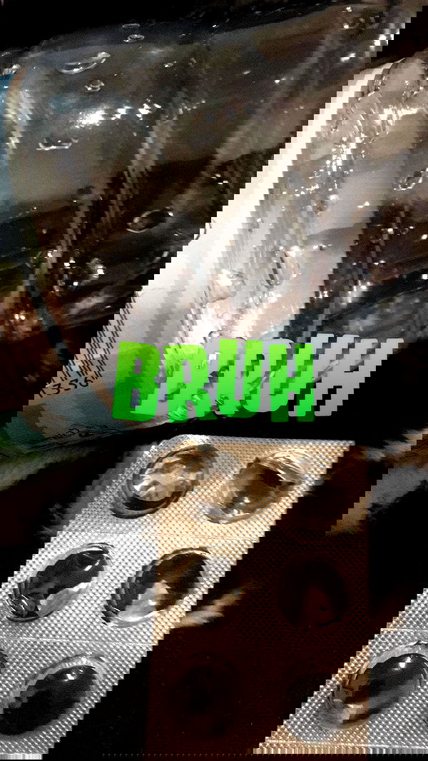 rose_xanne rose_xanne archive image