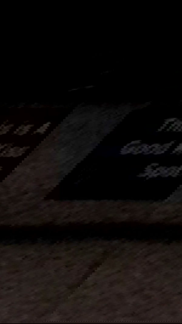 rose_xanne rose_xanne archive image