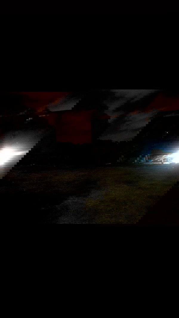 rose_xanne rose_xanne archive image