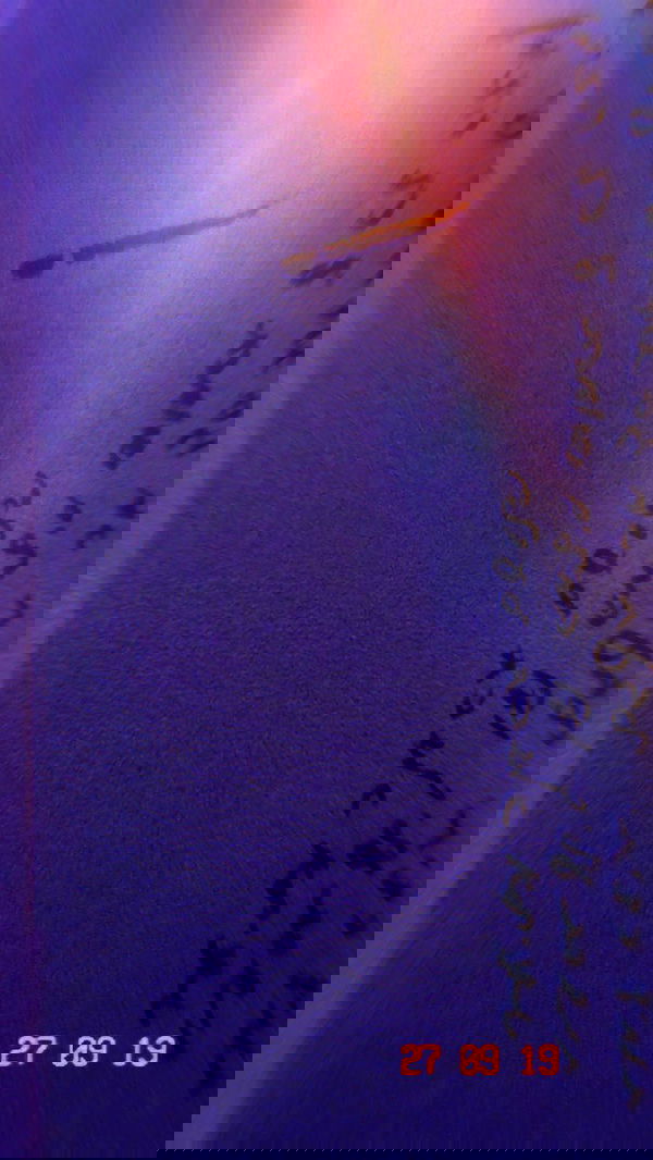 rose_xanne rose_xanne archive image