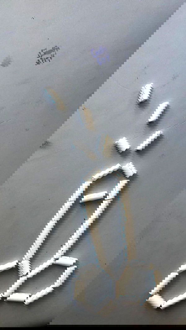 rose_xanne rose_xanne archive image