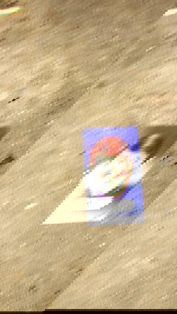 rose_xanne rose_xanne archive image