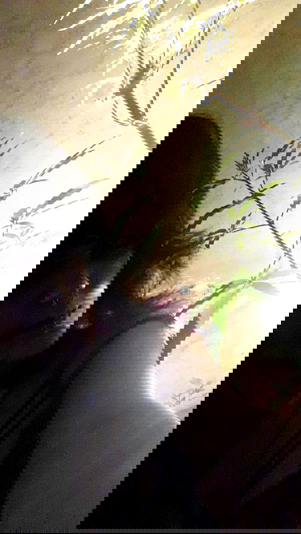 rose_xanne rose_xanne archive image