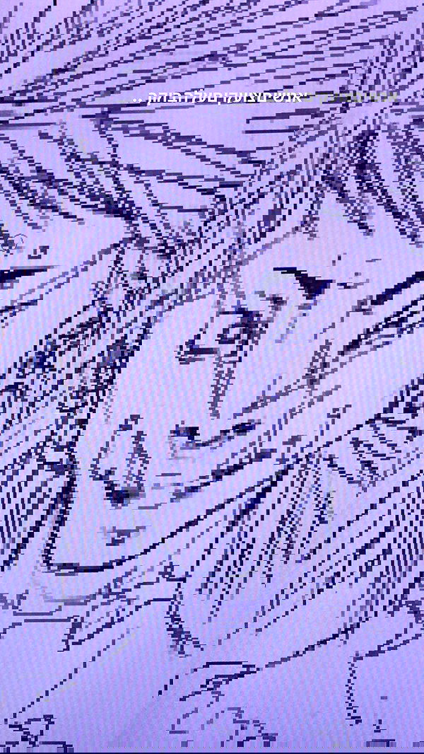 rose_xanne rose_xanne archive image