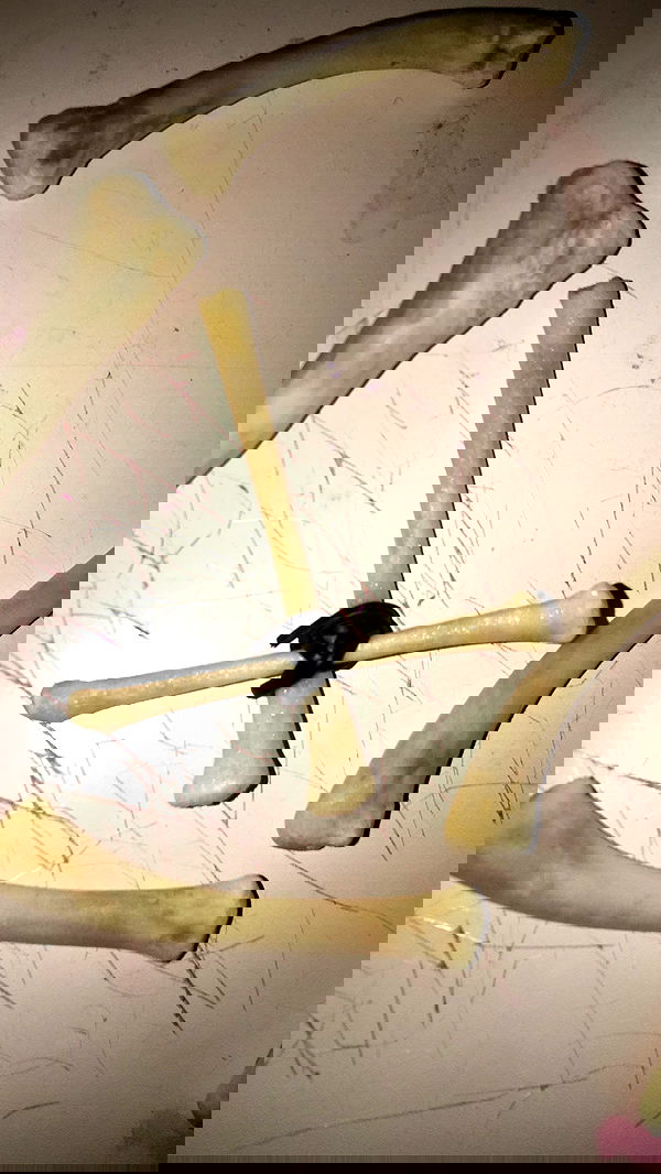 rose_xanne rose_xanne archive image