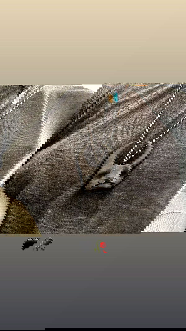 rose_xanne rose_xanne archive image