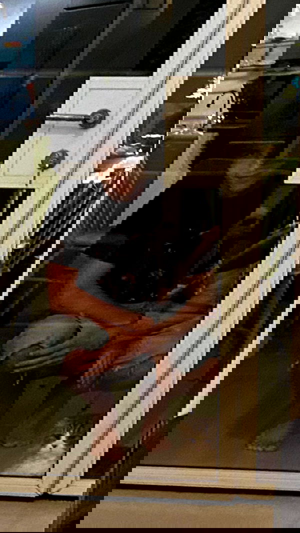 rose_xanne rose_xanne archive image