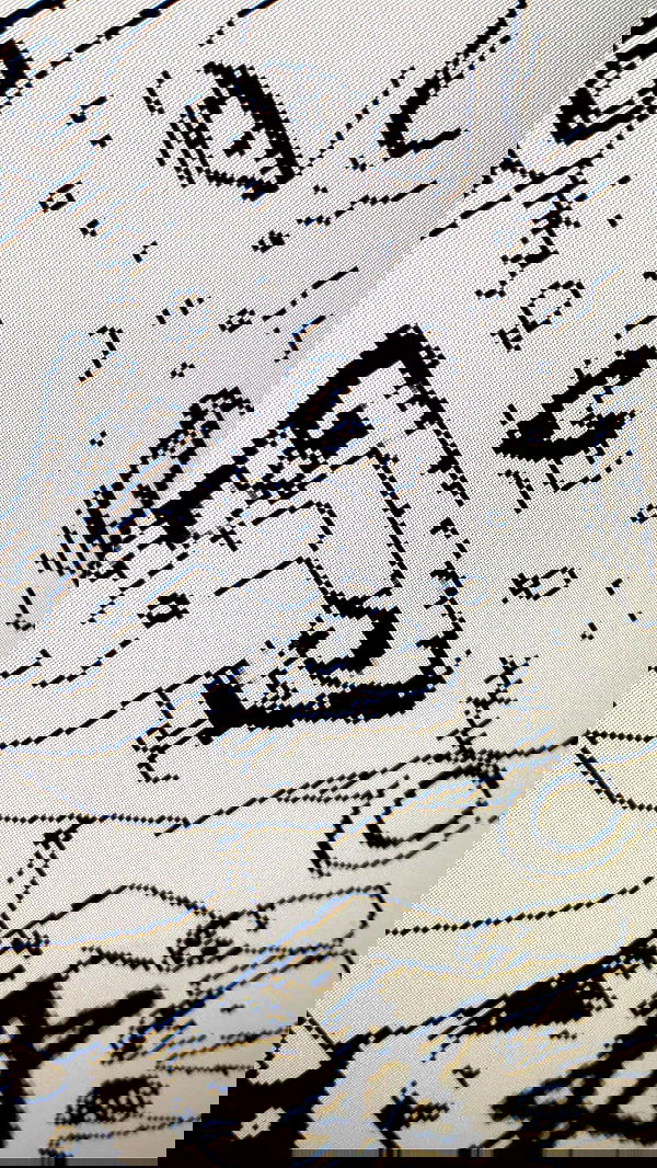 rose_xanne rose_xanne archive image