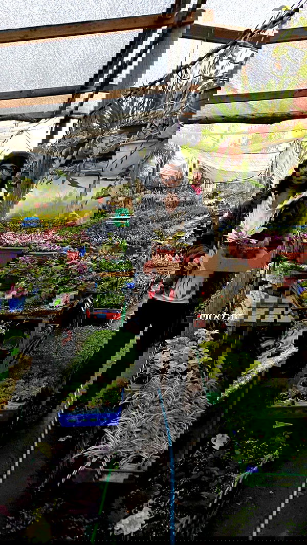 rose_xanne rose_xanne archive image