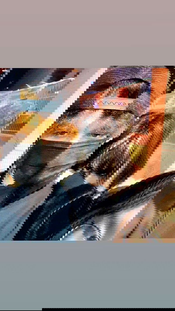 rose_xanne rose_xanne archive image