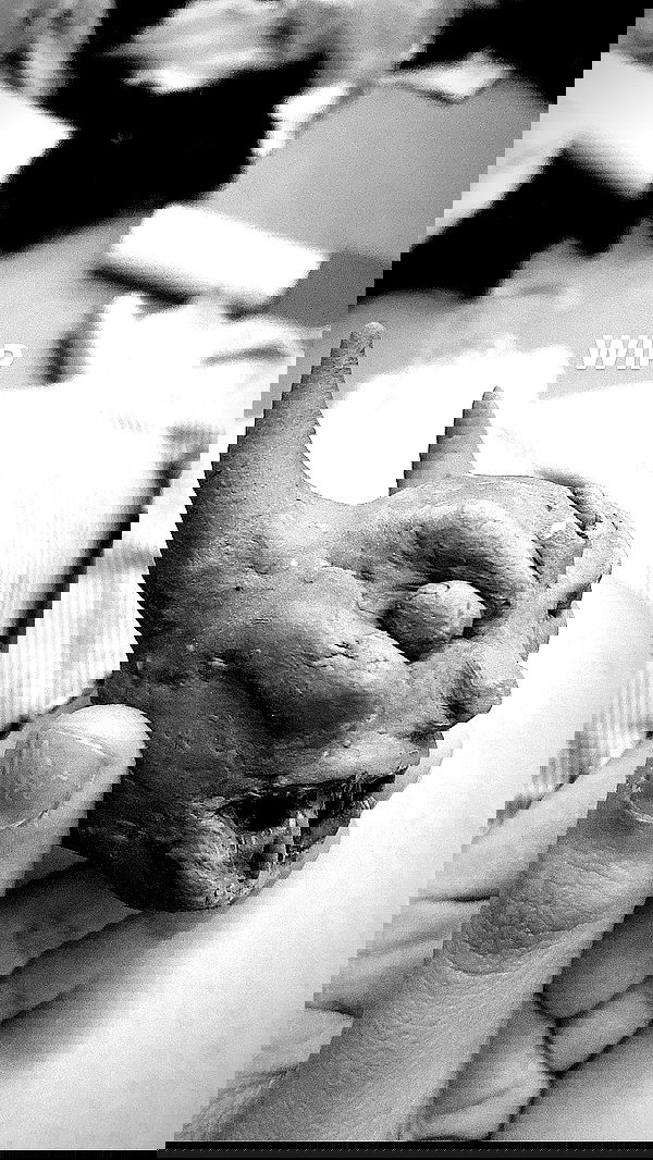 rose_xanne rose_xanne archive image