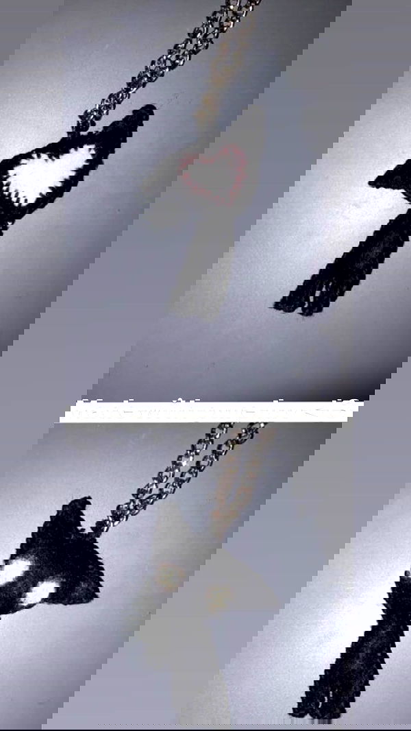 rose_xanne rose_xanne archive image