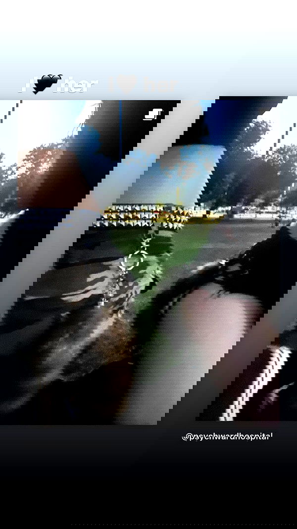 rose_xanne rose_xanne archive image