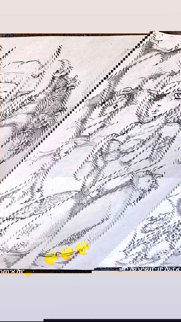 rose_xanne rose_xanne archive image