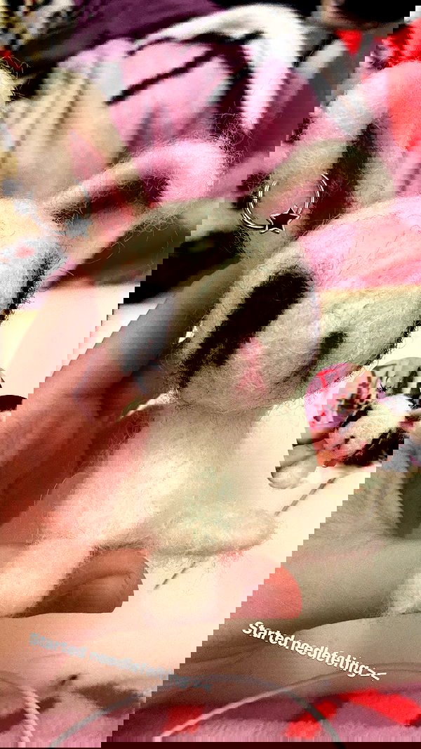 rose_xanne rose_xanne archive image