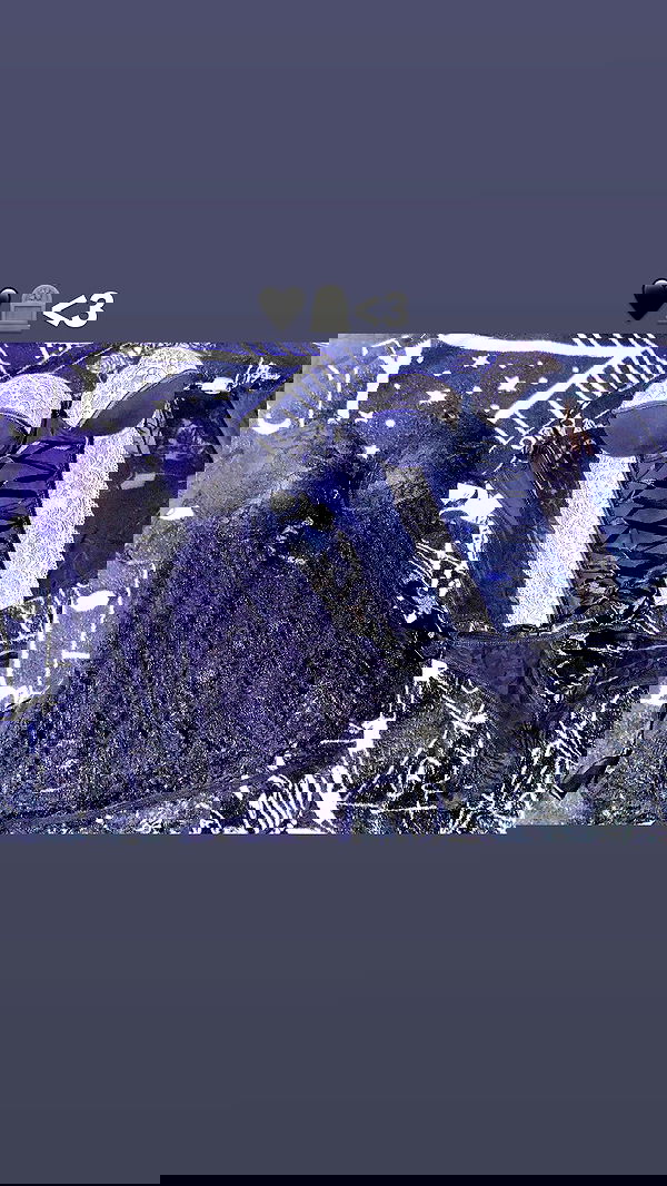 rose_xanne rose_xanne archive image