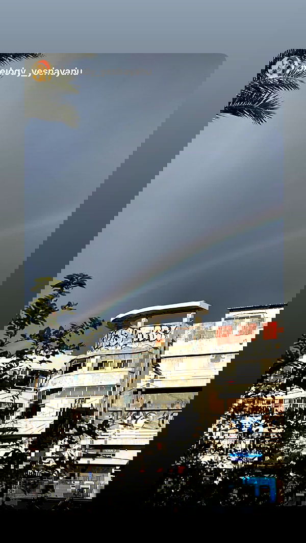 rose_xanne rose_xanne archive image