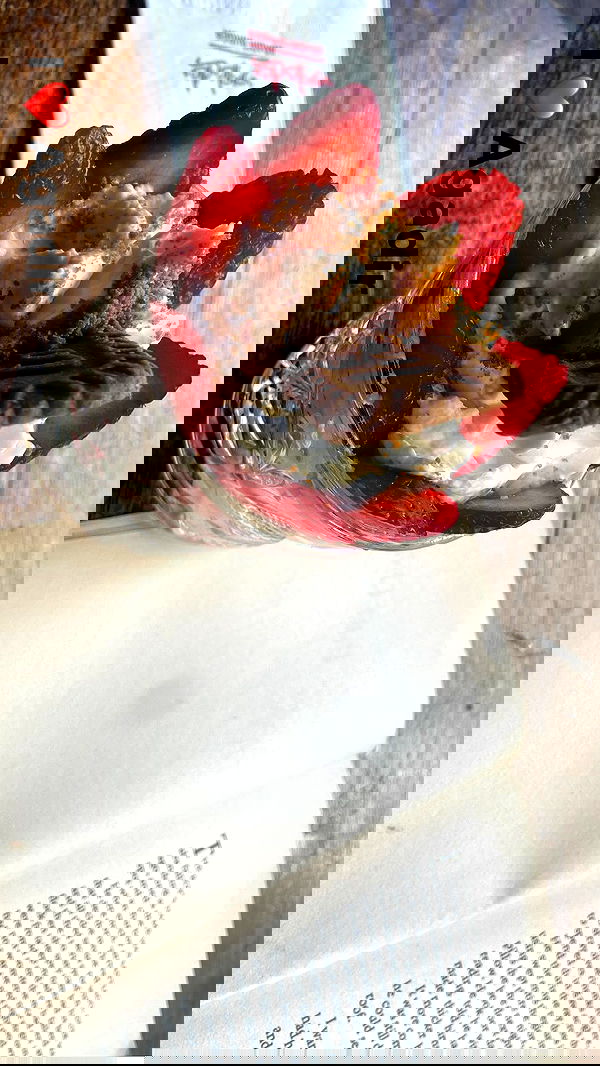 rose_xanne rose_xanne archive image