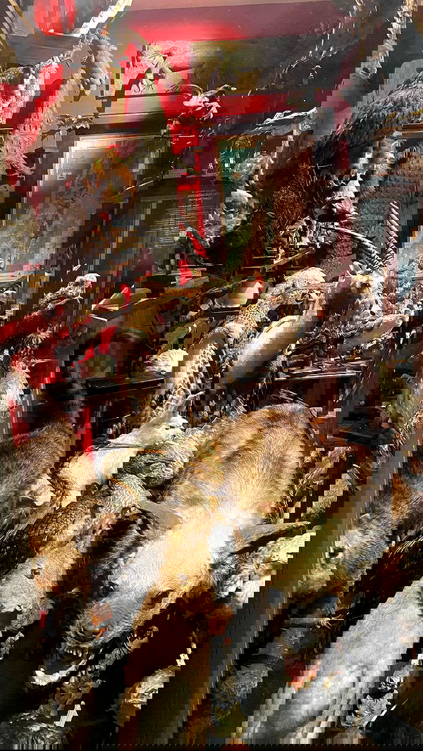 rose_xanne rose_xanne archive image