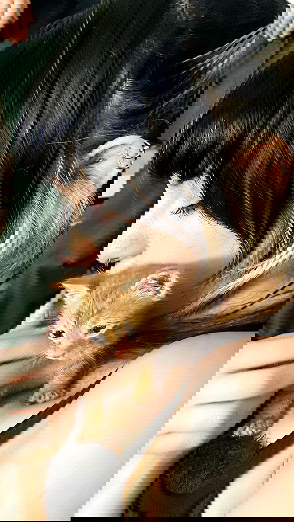 rose_xanne rose_xanne archive image