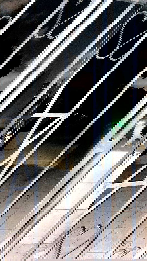 rose_xanne rose_xanne archive image