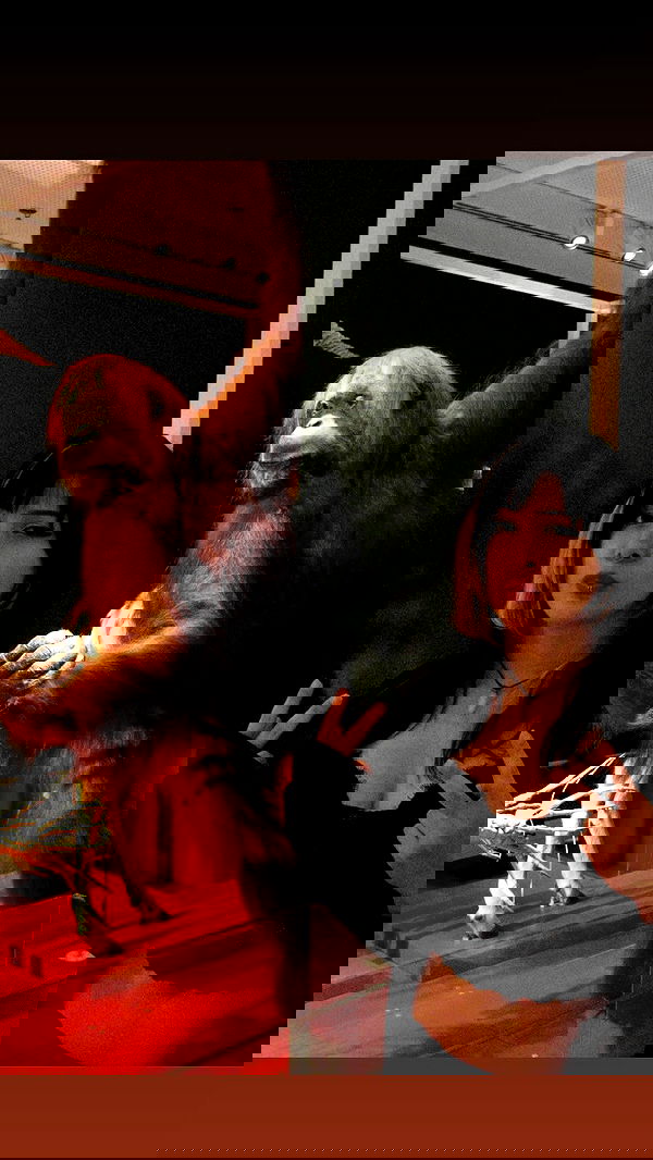 rose_xanne rose_xanne archive image