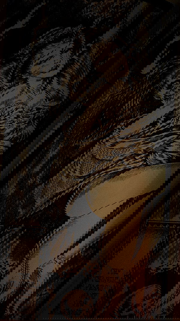 rose_xanne rose_xanne archive image