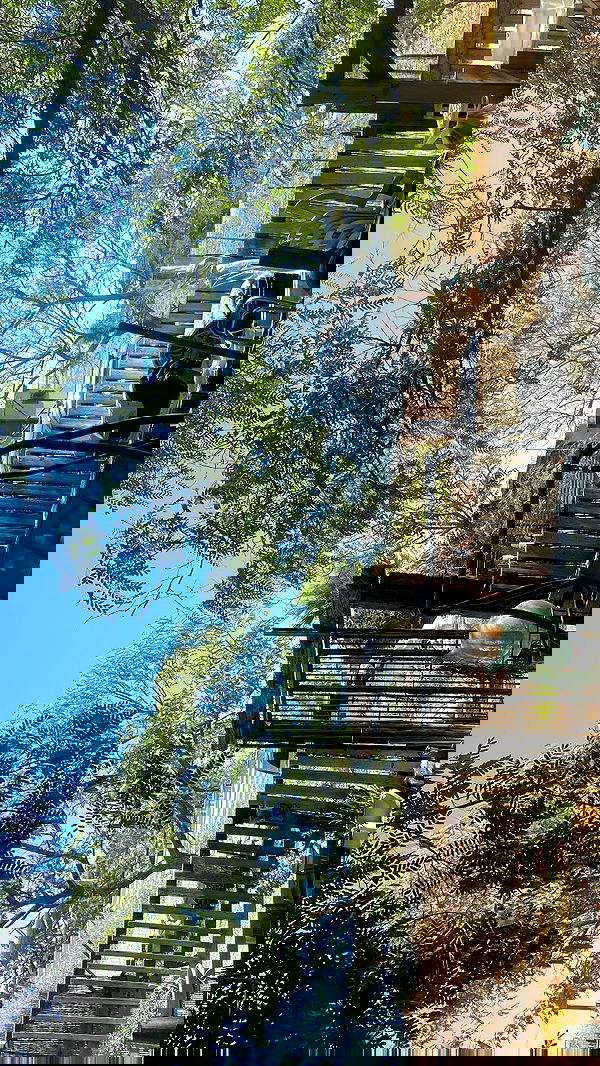 rose_xanne rose_xanne archive image