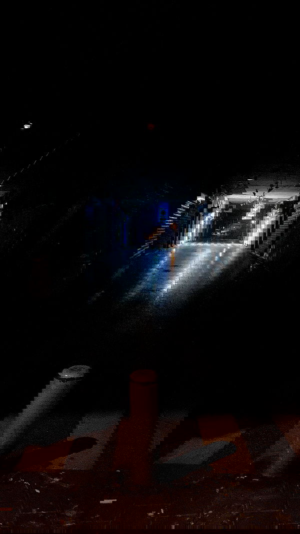 rose_xanne rose_xanne archive image