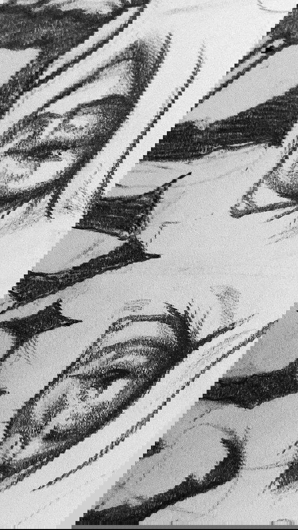 rose_xanne rose_xanne archive image