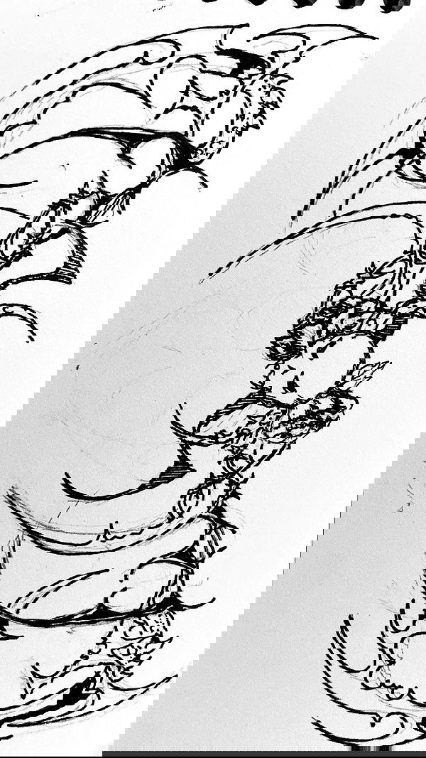 rose_xanne rose_xanne archive image