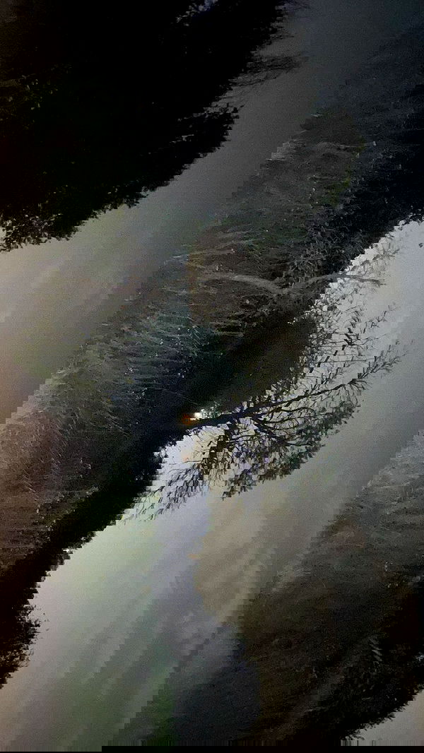 rose_xanne rose_xanne archive image